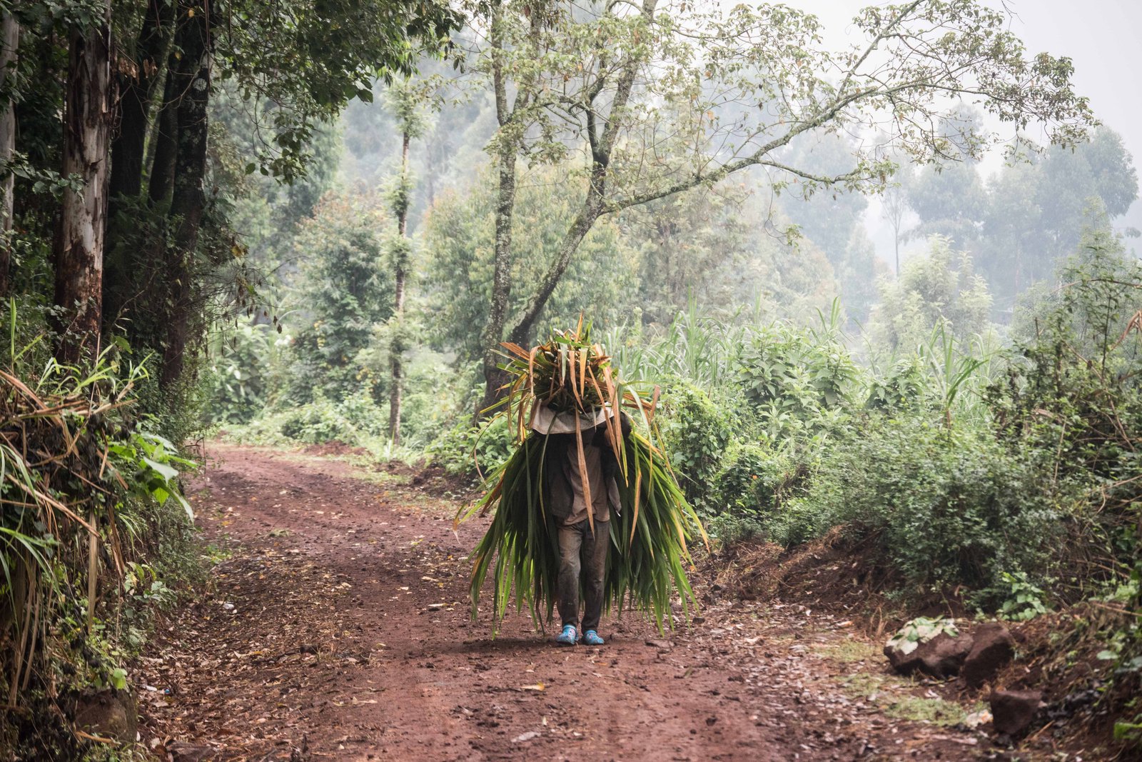 Kenya Bike Odyssey — photo 3