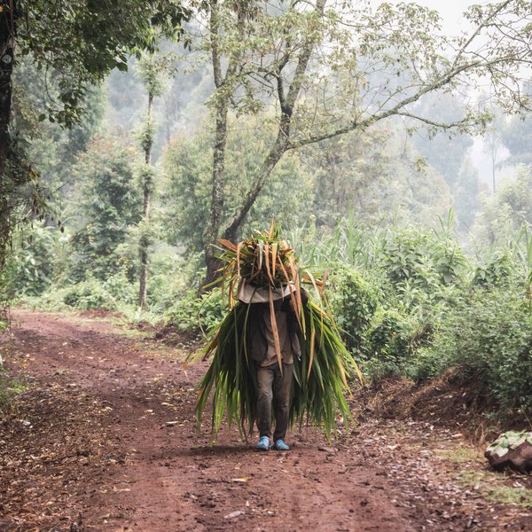 Kenya Bike Odyssey — photo 3