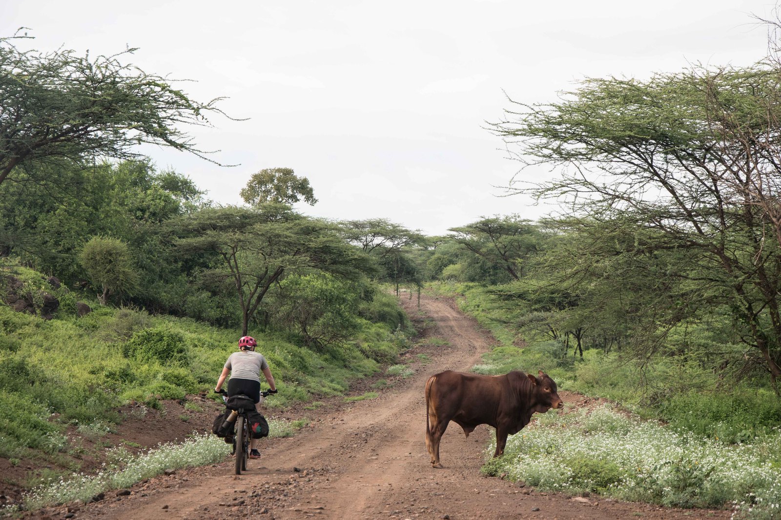 Kenya Bike Odyssey — photo 34