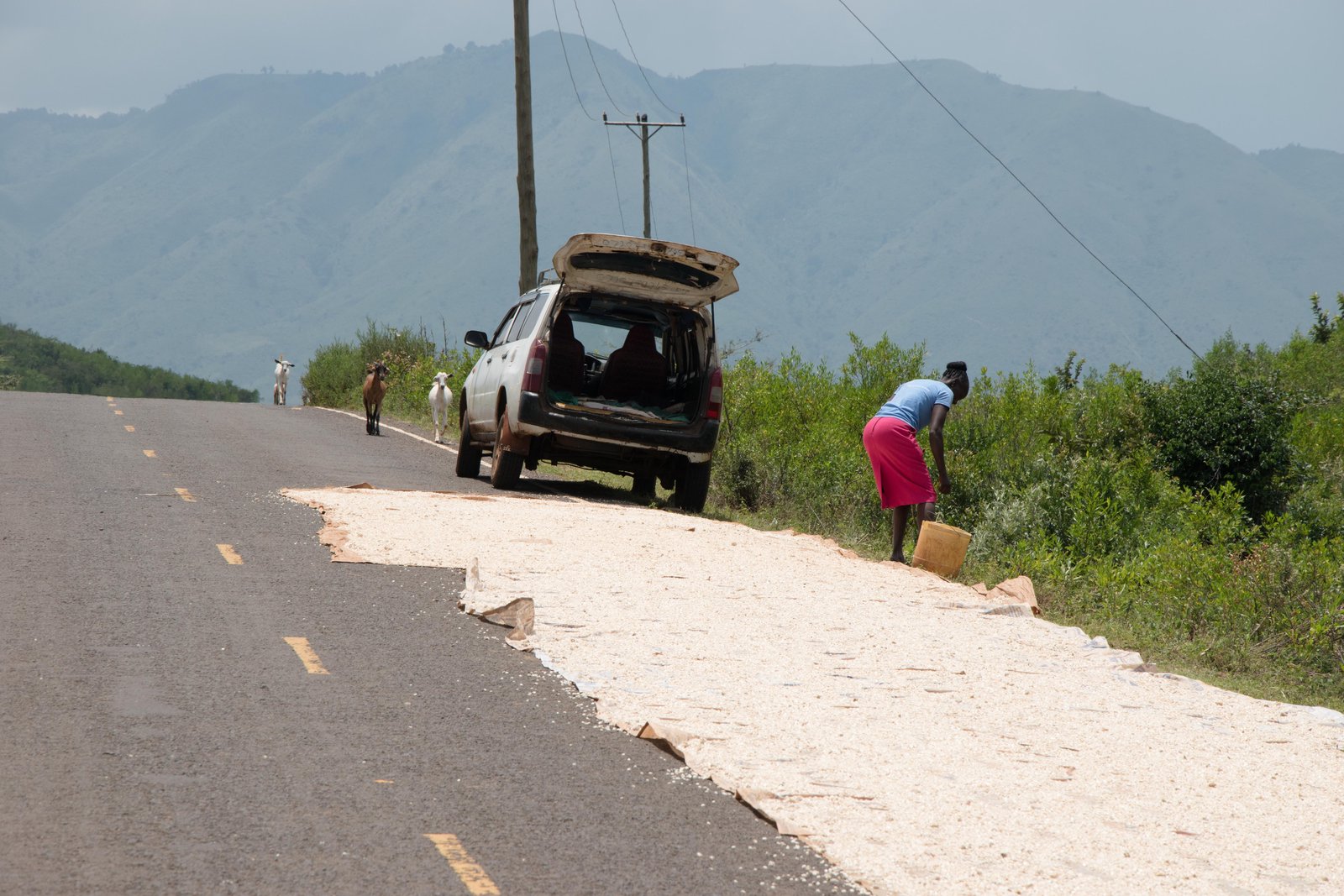 Kenya Bike Odyssey — photo 39