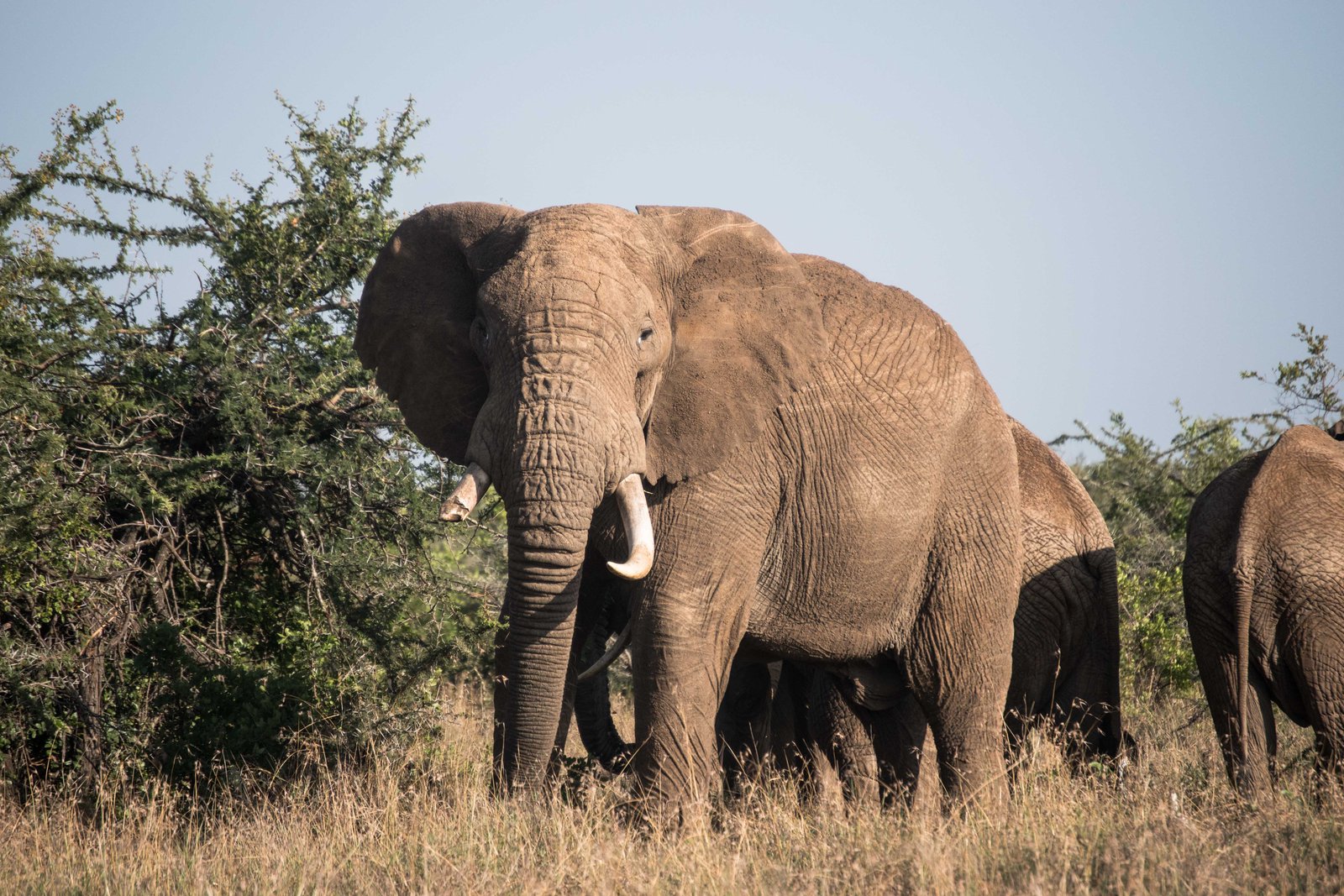Kenya Bike Odyssey — photo 40