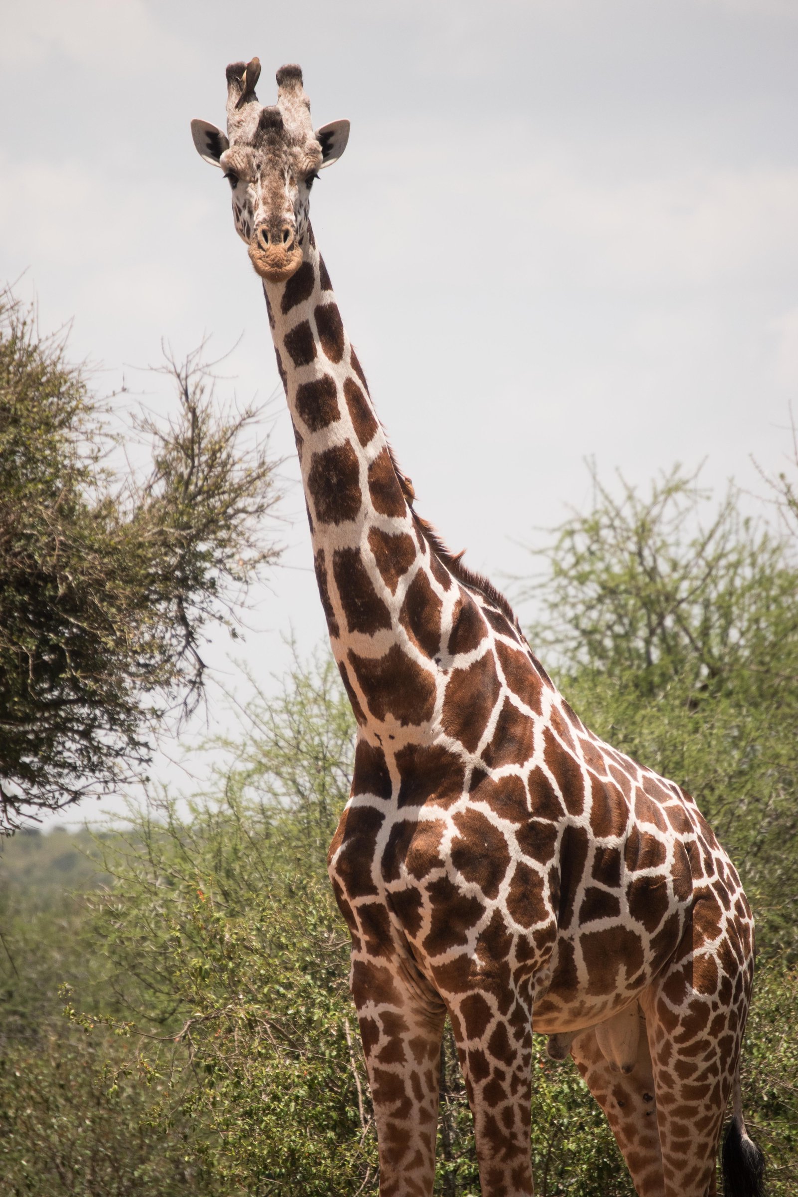 Kenya Bike Odyssey — photo 42