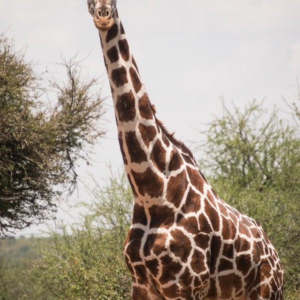 Kenya Bike Odyssey — photo 42