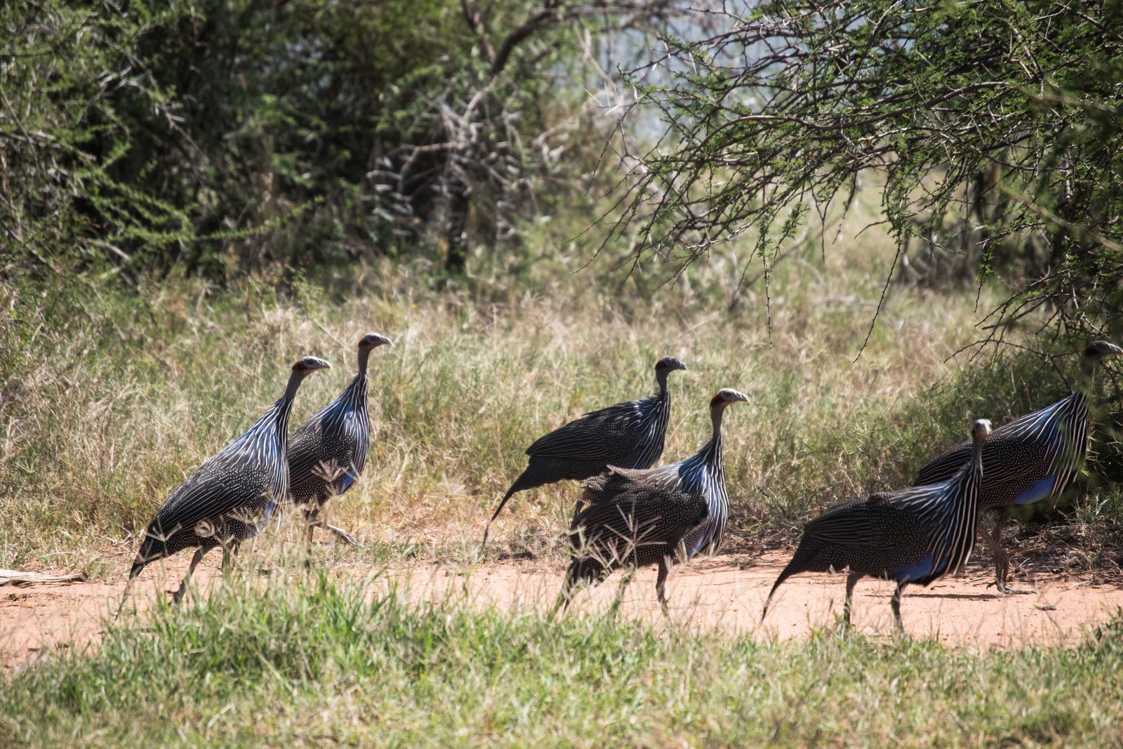 Kenya Bike Odyssey — photo 44