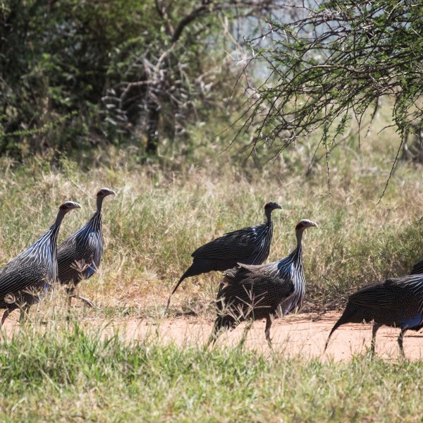 Kenya Bike Odyssey — photo 44
