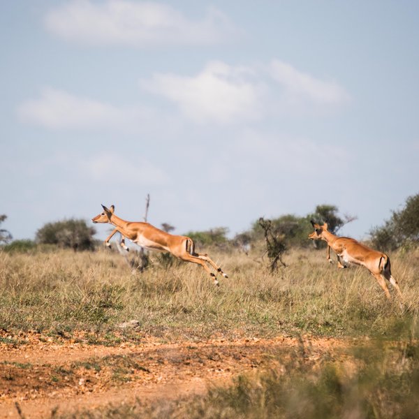 Kenya Bike Odyssey — photo 45