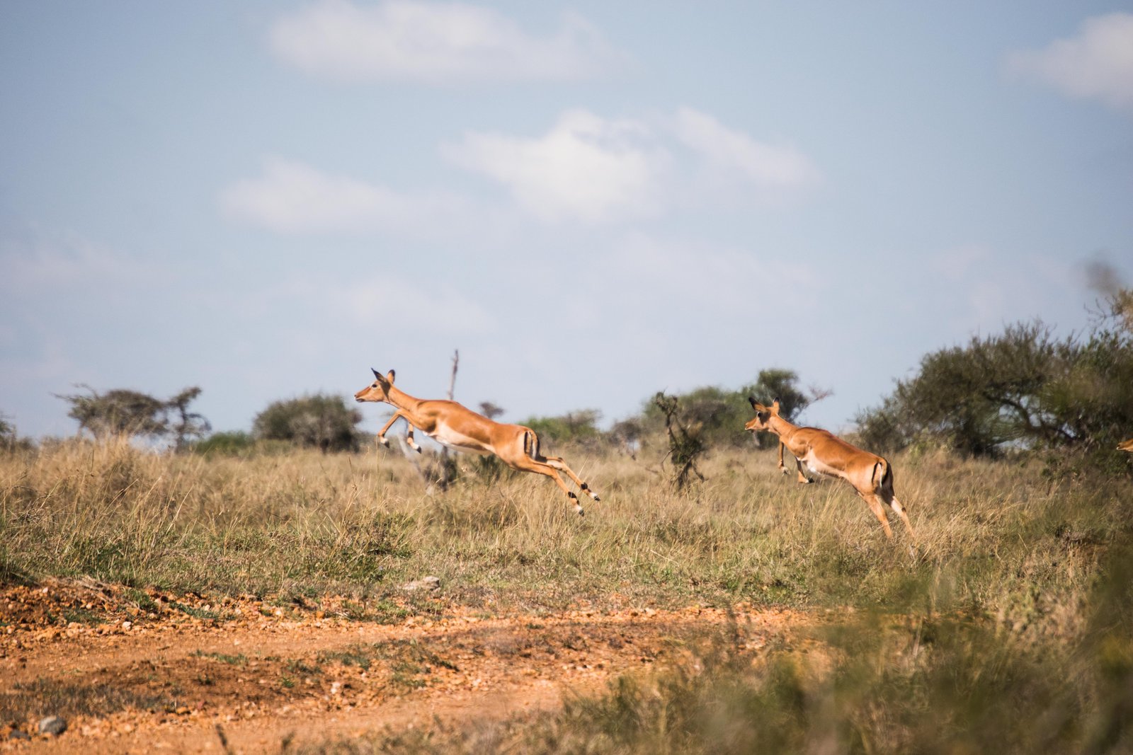 Kenya Bike Odyssey — photo 45