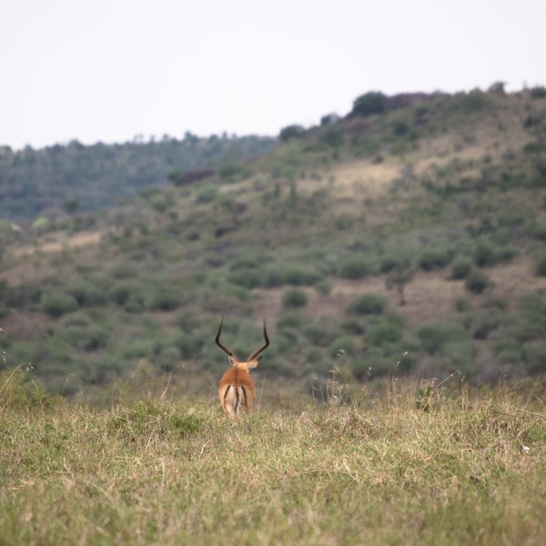 Kenya Bike Odyssey — photo 47