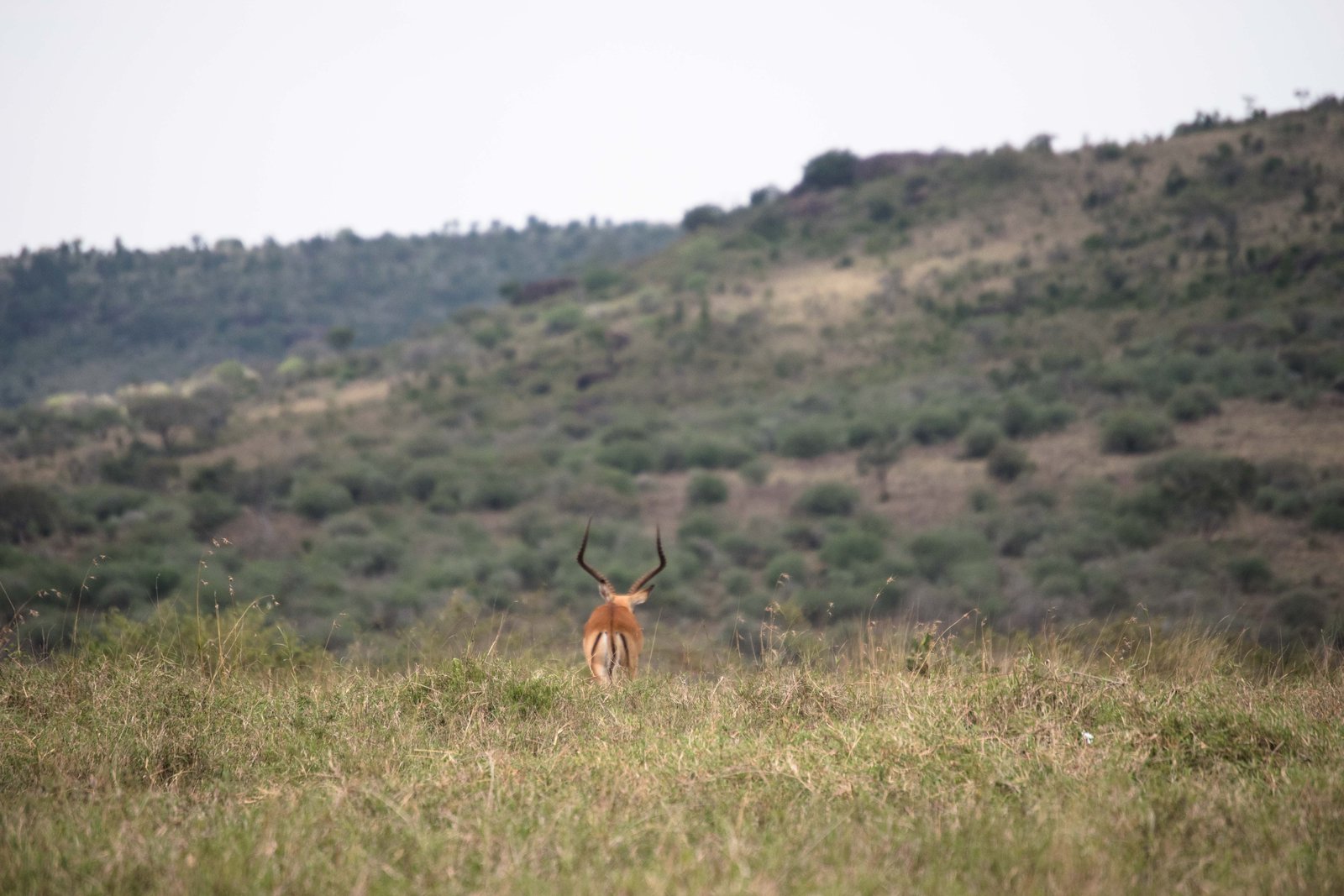 Kenya Bike Odyssey — photo 47