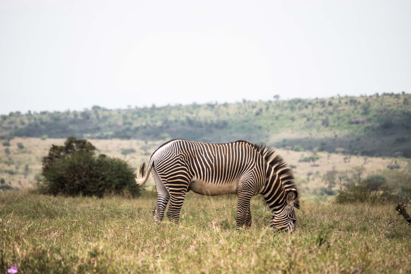 Kenya Bike Odyssey — photo 48