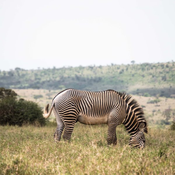 Kenya Bike Odyssey — photo 48